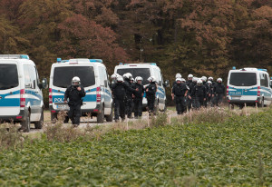 hambacherforst